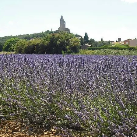 Hébergement de vacances Appartement - Chamaret Chamaret